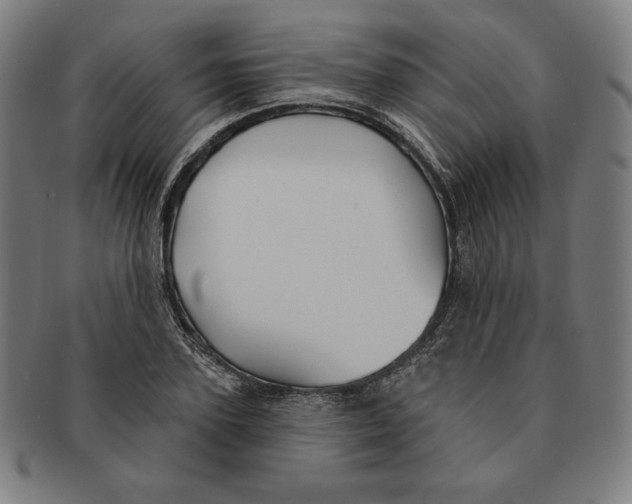 X0000090950931200708301136