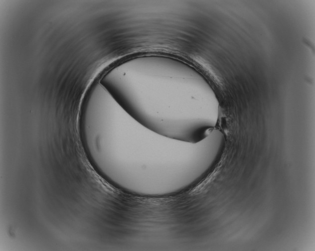 X0000090950932200708301136