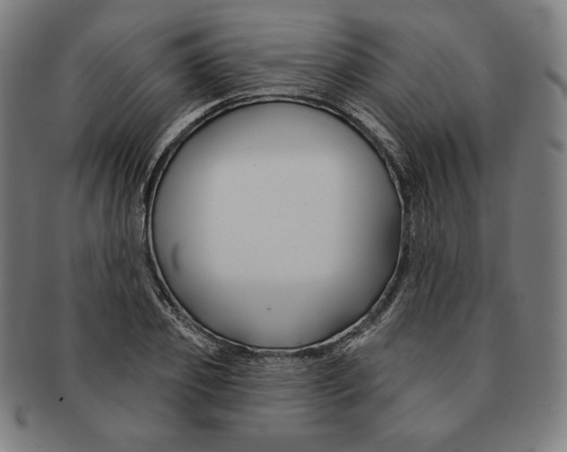 X0000090950933200708301136