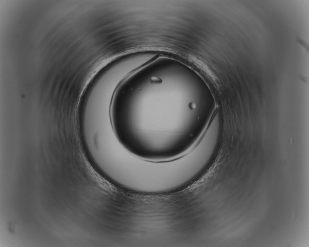 X0000090950934200708301136
