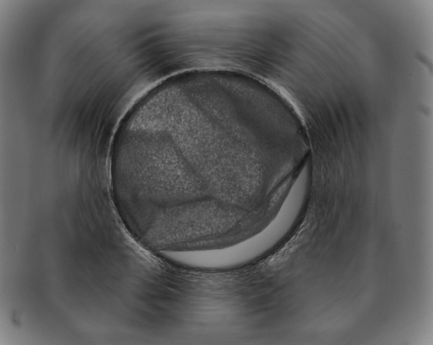 X0000090950935200708301136