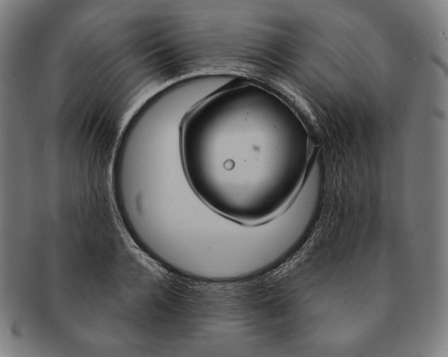 X0000090950936200708301136