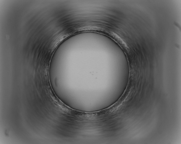 X0000090950937200708301136