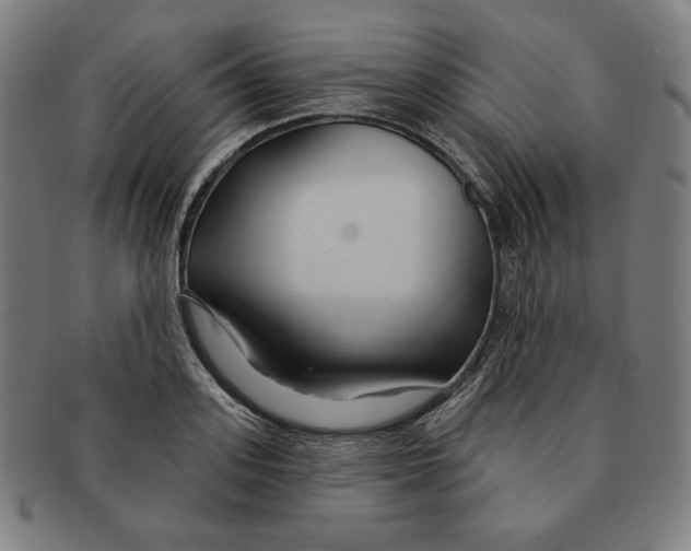 X0000090950939200708301136