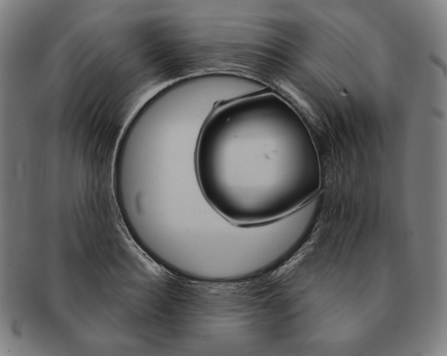 X0000090950940200708301136
