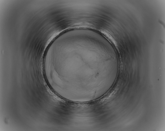X0000090950941200708301136