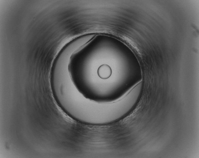 X0000090950942200708301136