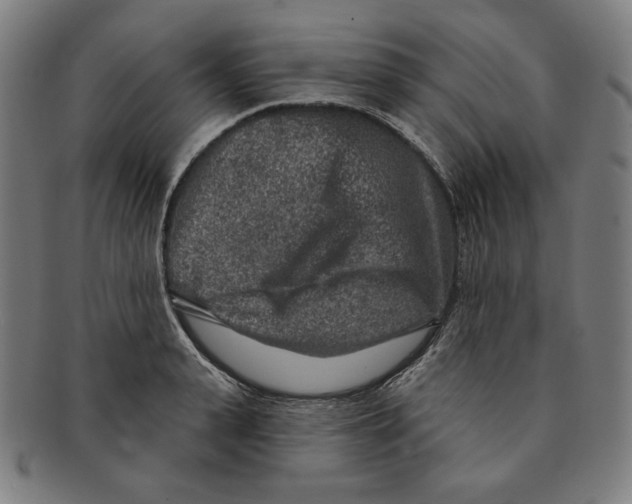 X0000090950943200708301136