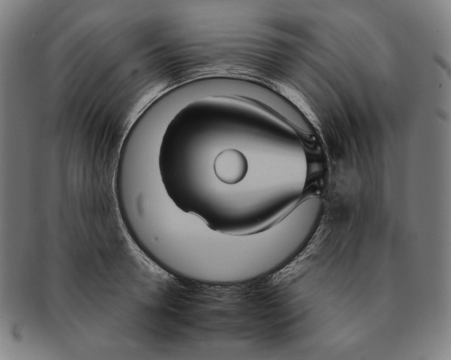 X0000090950946200708301136