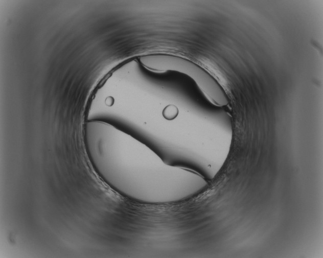 X0000090950948200708301136
