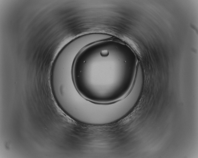 X0000090950950200708301136