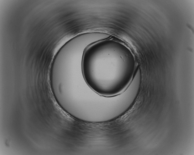X0000090950952200708301136