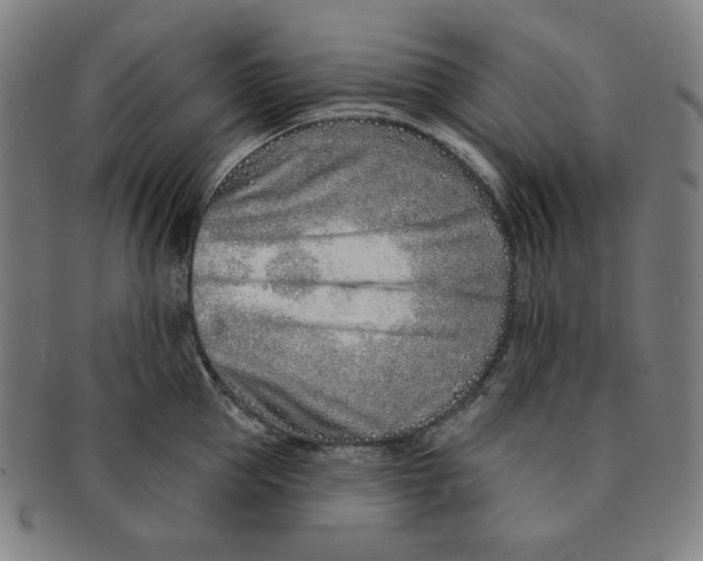 X0000090950953200708301136