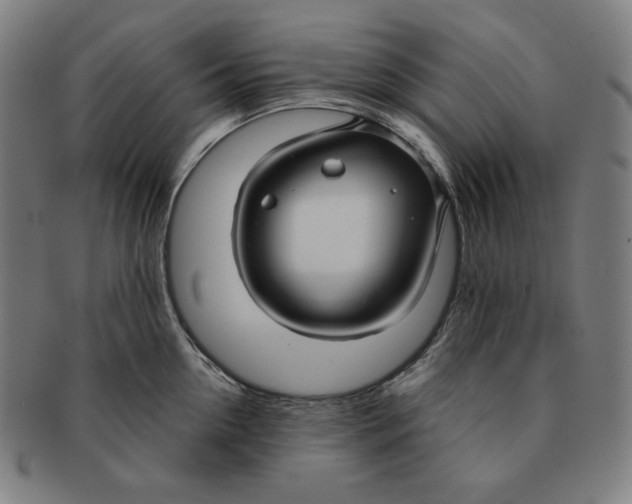 X0000090950954200708301136