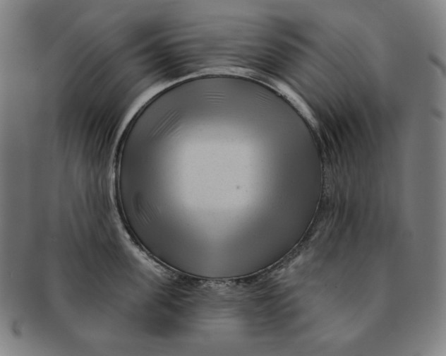 X0000090950955200708301136