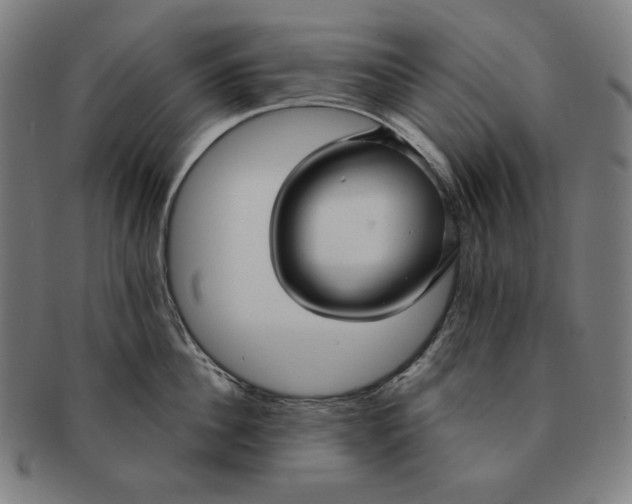 X0000090950956200708301136