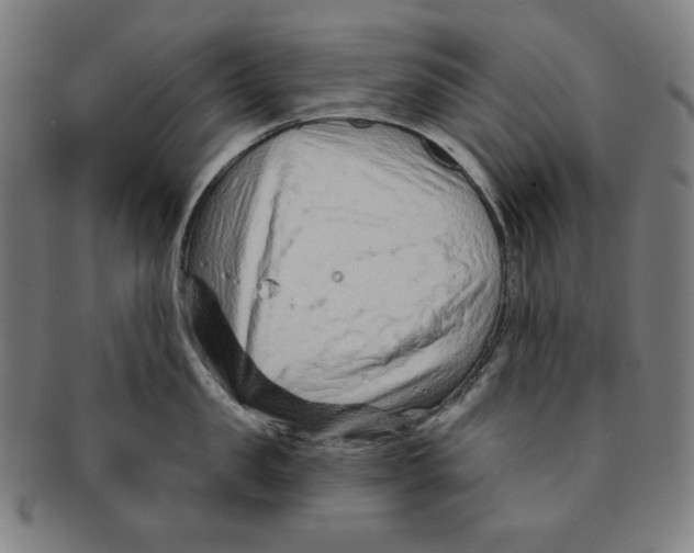 X0000090950957200708301136