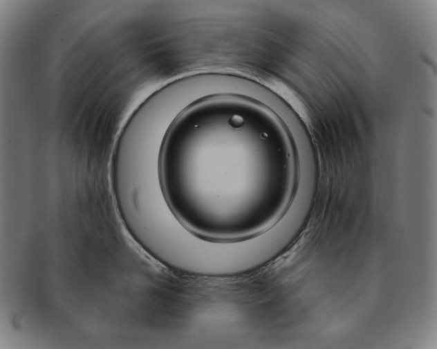 X0000090950958200708301136