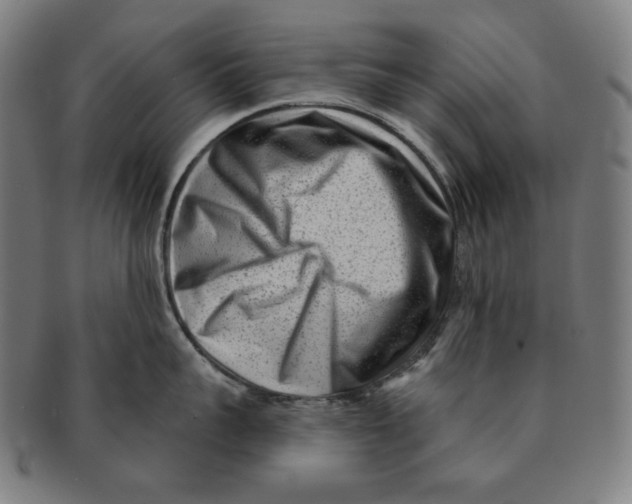 X0000090950959200708301136