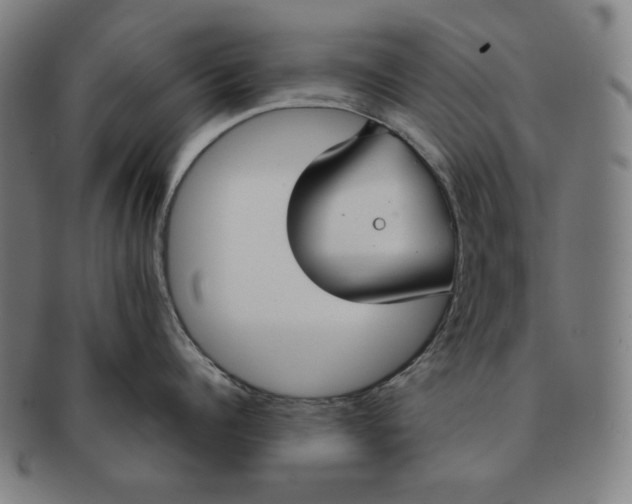 X0000090950960200708301136