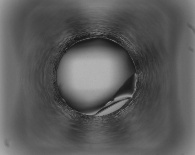 X0000090950961200708301136