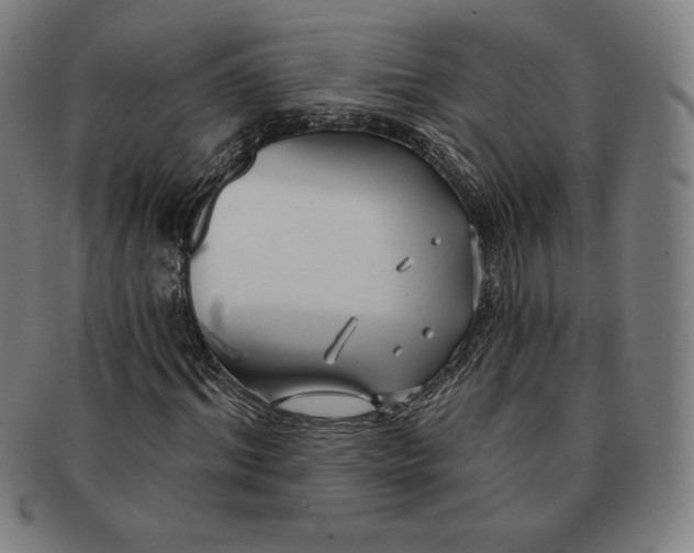 X0000090950964200708301136