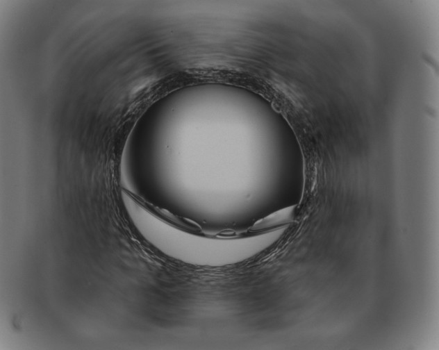 X0000090950965200708301136