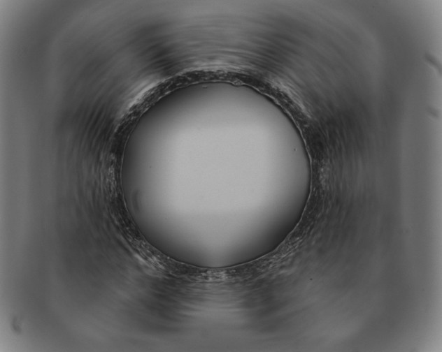 X0000090950968200708301136