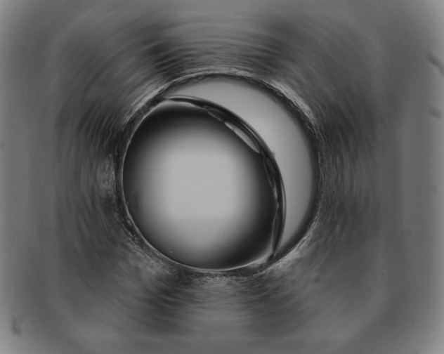 X0000090950969200708301136