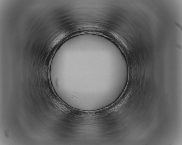 X0000090950970200708301136