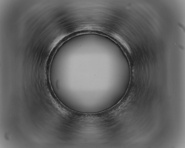 X0000090950972200708301136