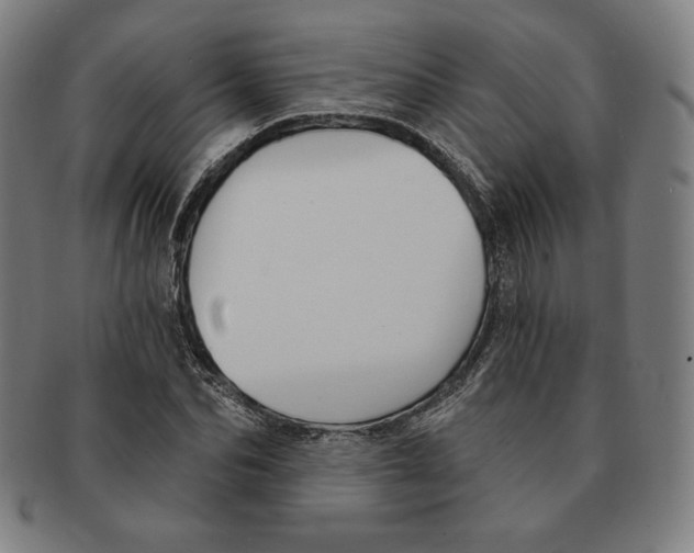 X0000090950974200708301136