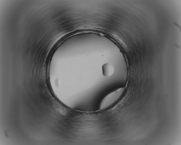 X0000090950976200708301136
