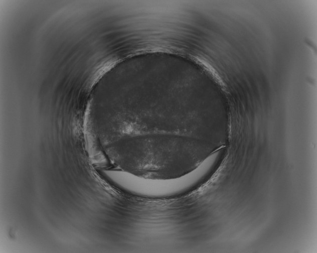 X0000090950977200708301136