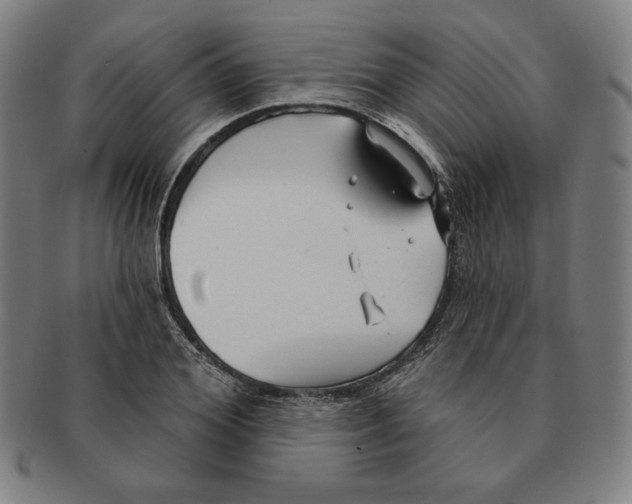 X0000090950980200708301135