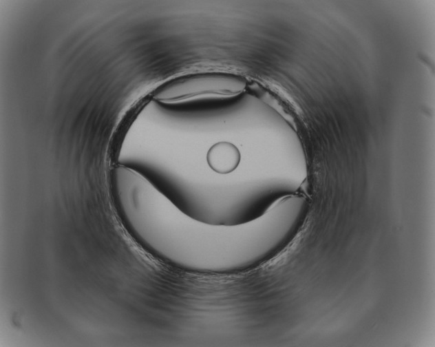 X0000090950981200708301135