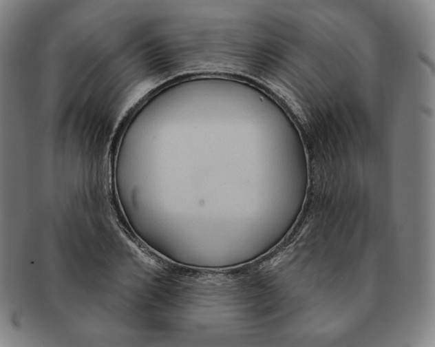 X0000090950982200708301135