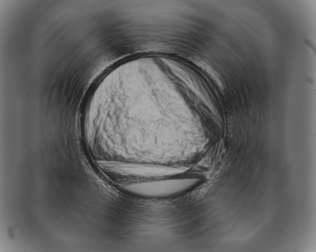 X0000090950983200708301135