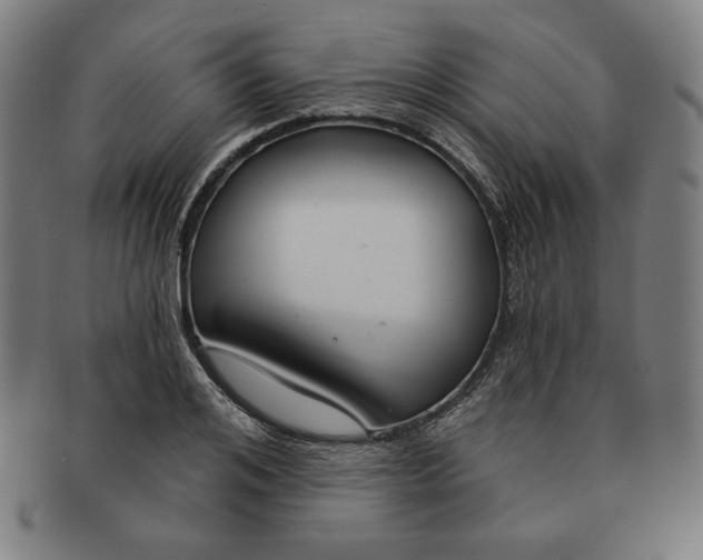 X0000090950984200708301135