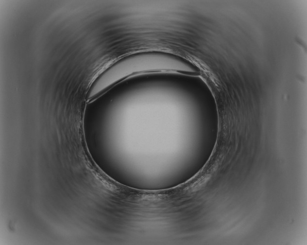 X0000090950985200708301135
