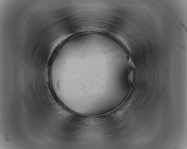 X0000090950987200708301135