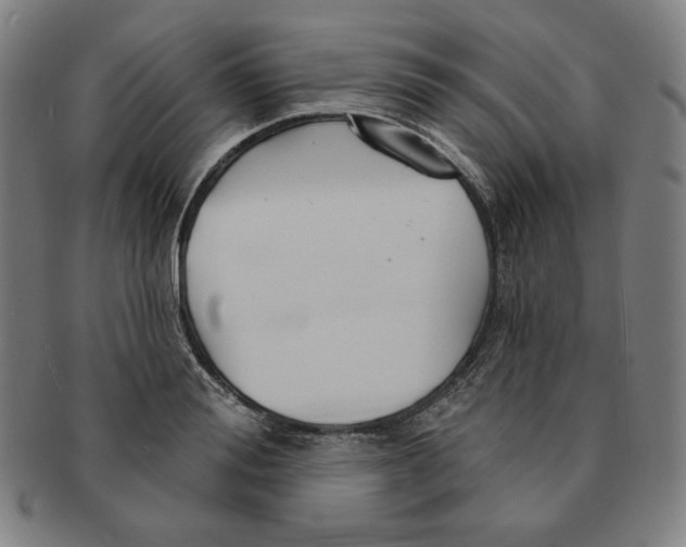 X0000090950988200708301135