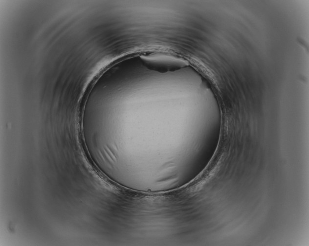 X0000090950989200708301135