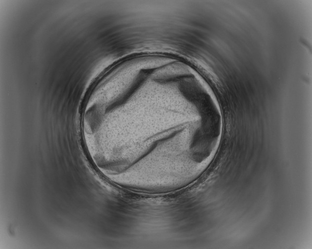 X0000090950990200708301135