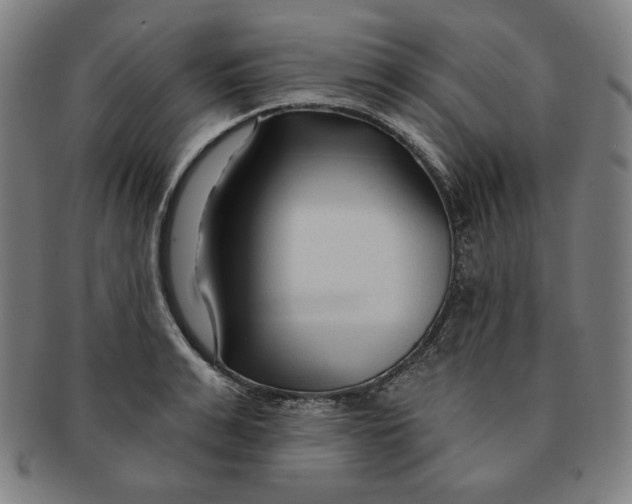 X0000090950991200708301135