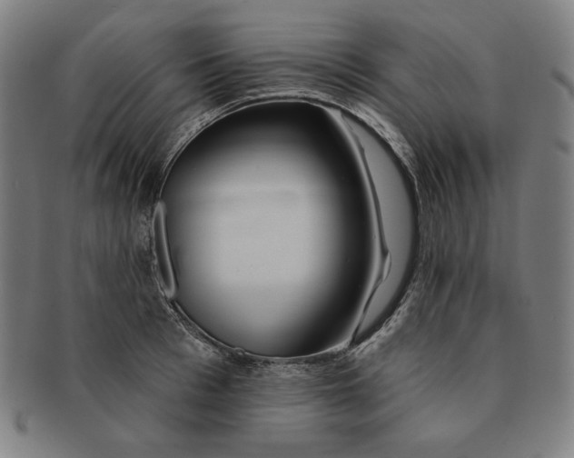 X0000090950993200708301135