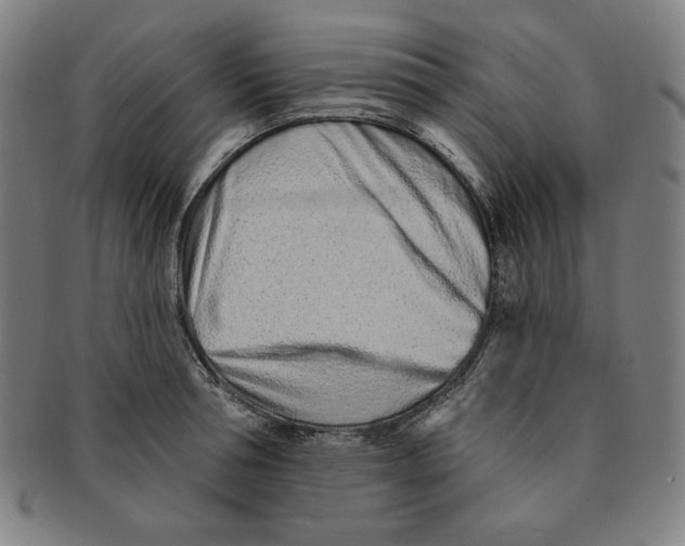 X0000090950994200708301135