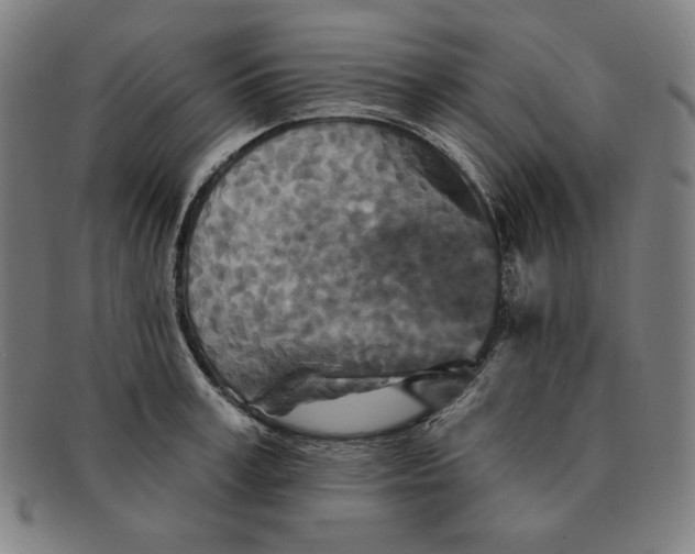 X0000090950995200708301135