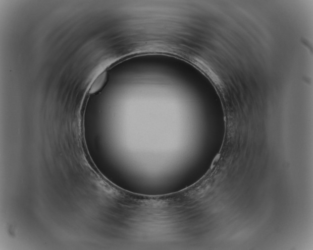 X0000090950996200708301135