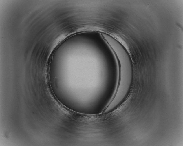 X0000090950997200708301135